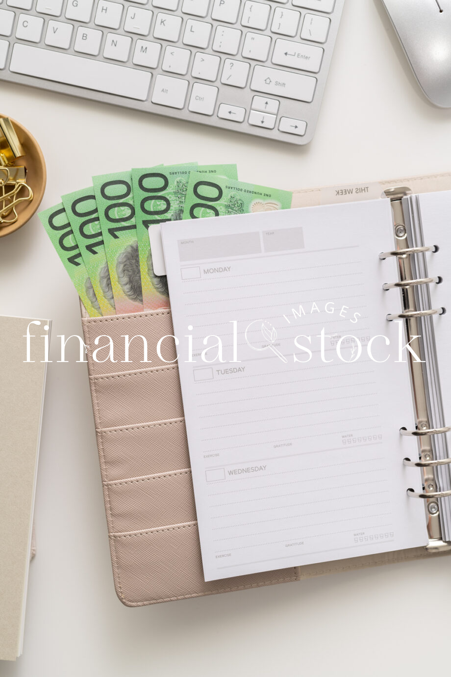 Financial Stock Images - Woman working from home with an office diary