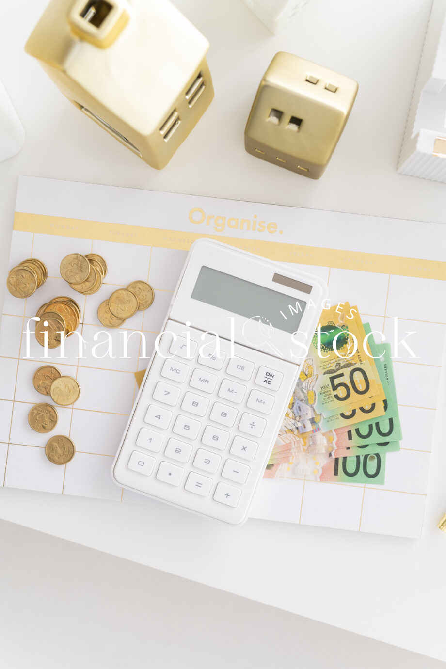Financial Stock Images - Woman working from home-Money management and savings