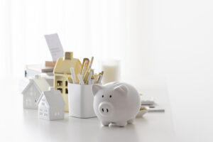 Financial Stock Images - Woman working from home-Money management and savings