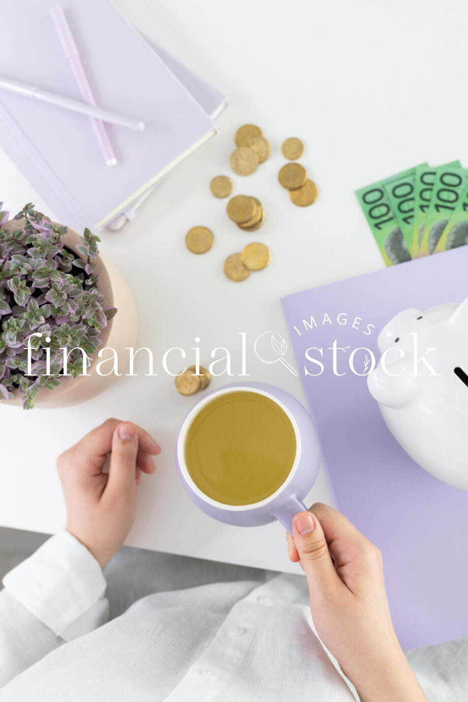 Financial, Stock, Images, Lilac, Office, Images, Women, Money, Australian, Finance, Bookkeeper, Services, Business